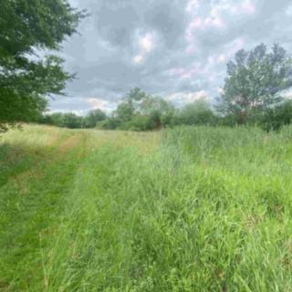 Prodej ostatních pozemků 3647 m² Chropyně