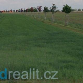 Prodej ostatního pozemku 4 972 m² Radonice