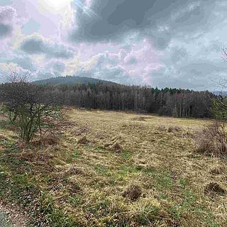 Prodej zemědělské půdy 8 071 m² Vyšší Brod Hrudkov