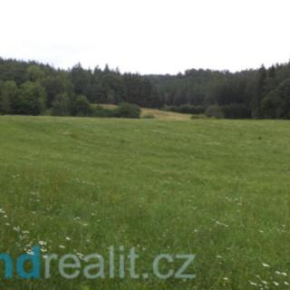 Prodej zemědělské půdy 4 991 m² Tuhaň Domašice