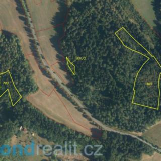 Prodej ostatního pozemku 12 622 m² Železný Brod Střevelná