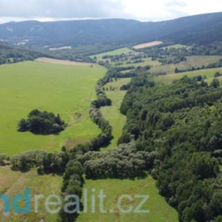 Prodej ostatního pozemku 67 850 m² Dešenice Datelov