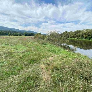 Prodej ostatního pozemku 600 m² Všenory