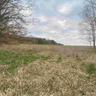 Prodej zemědělské půdy 33 366 m² Žinkovy