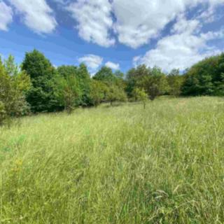 Prodej stavební parcely 2790 m² Nedašova Lhota