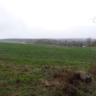 Prodej zemědělské půdy 15 075 m² Mladý Smolivec Radošice