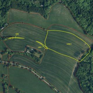Prodej zemědělské půdy 28066 m² Semily