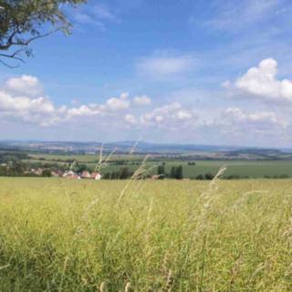 Prodej zemědělské půdy 8 978 m² Uherský Brod