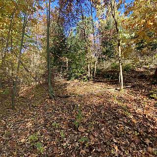 Prodej zemědělské půdy 12 622 m² Železný Brod Střevelná