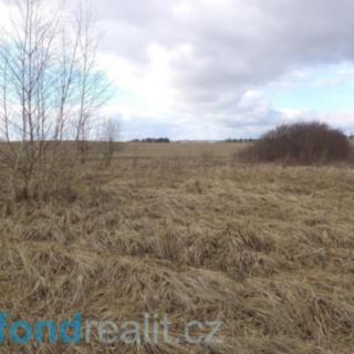 Prodej zemědělské půdy 4 035 m² Úherce