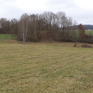 Prodej zemědělské půdy 19946 m² Srby