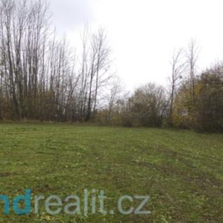 Prodej ostatního pozemku 4 513 m² Leština Doubravice
