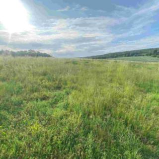 Prodej ostatního pozemku 5 404 m² Petrovice