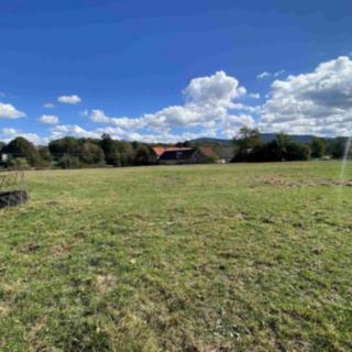 Prodej ostatního pozemku 6 764 m² Horní Stropnice Rychnov u Nových Hradů