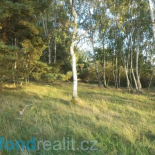 Prodej zemědělské půdy 7261 m² Žďár