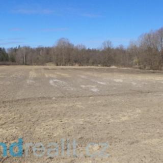 Prodej zemědělské půdy 10919 m² Stříbřec