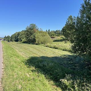 Prodej ostatního pozemku 6 634 m² Dolní Dobrouč Horní Dobrouč