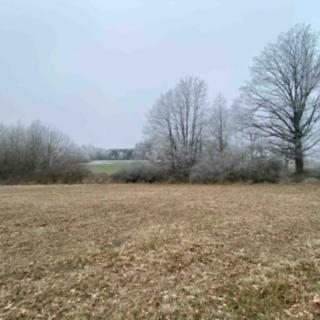 Prodej ostatních pozemků 1757 m² Slatina