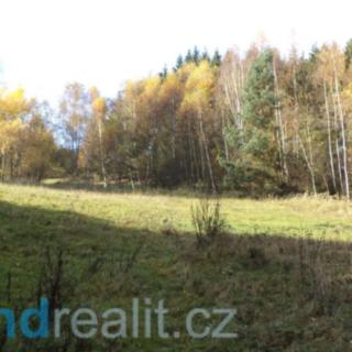 Prodej ostatního pozemku 3 302 m² Cizkrajov Dolní Bolíkov