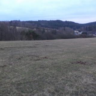 Prodej ostatního pozemku 6 625 m² Tis u Blatna Balková