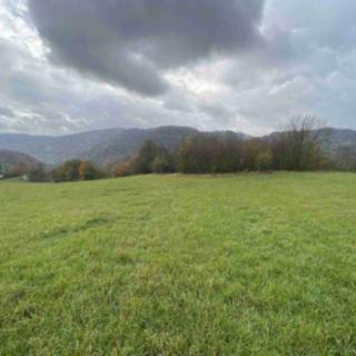 Prodej ostatního pozemku 4 431 m² Děčín XXVII-Březiny