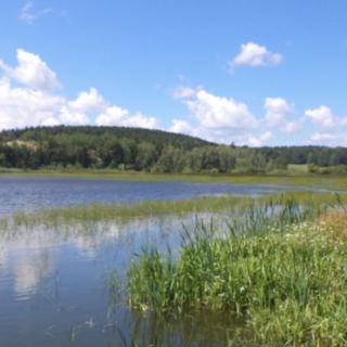 Prodej ostatních pozemků 480 m² Lipí