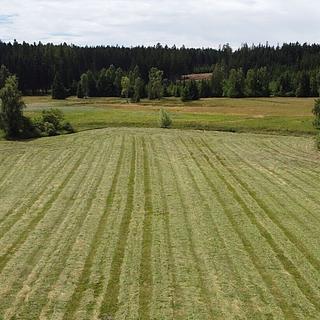 Prodej zemědělské půdy 7578 m² Sobíňov