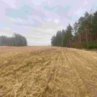 Prodej zemědělské půdy 7 435 m² Hospříz Hrutkov