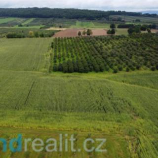 Prodej zemědělské půdy 4 926 m² Malovice Krtely