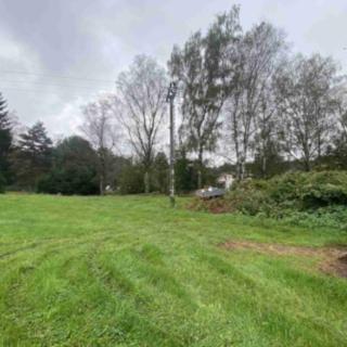 Prodej ostatních pozemků 1647 m² Borovany