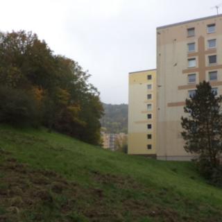 Prodej ostatního pozemku 14 780 m² Ústí nad Labem Mojžíř