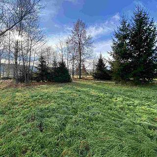 Prodej stavební parcely 3 703 m² Nové Hrady Štiptoň