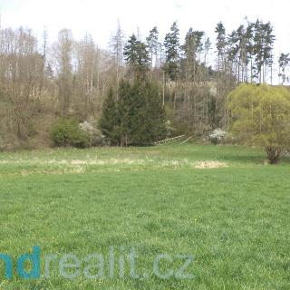 Prodej ostatního pozemku 2 759 m² Dešná Dančovice