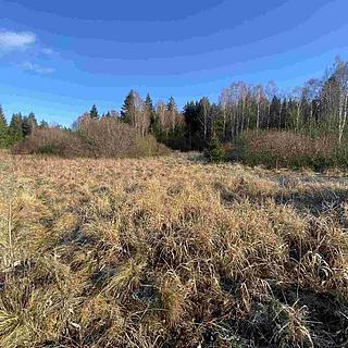 Prodej zemědělské půdy 16 994 m² Černá v Pošumaví