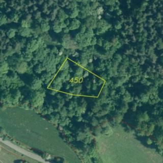Prodej ostatních pozemků 1313 m² Rejštejn
