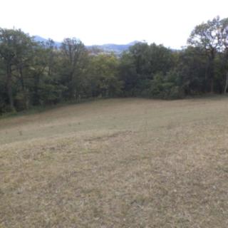 Prodej zemědělské půdy 10011 m² Řehlovice
