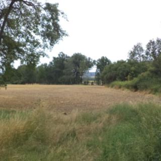 Prodej zahrady 1 100 m² Heřmanova Huť Vlkýš