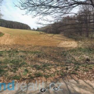 Prodej zemědělské půdy 22895 m² Kaliště
