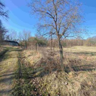 Prodej stavební parcely 11 107 m² Dolní Dvořiště Všeměřice