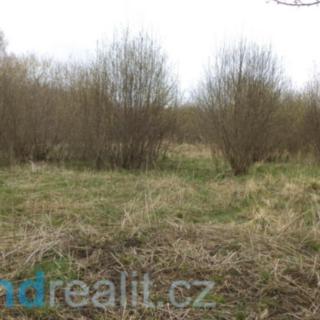 Prodej ostatních pozemků 11893 m² Kařez