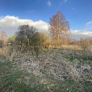 Prodej zemědělské půdy 3 314 m² Okna