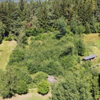 Prodej ostatních pozemků 2572 m² Strašín