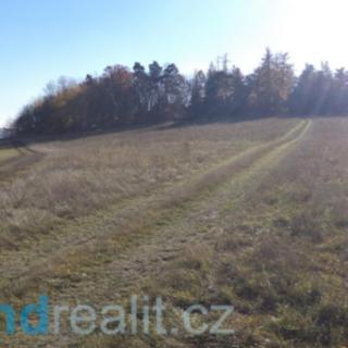 Prodej zemědělské půdy 4923 m² Prostějovičky