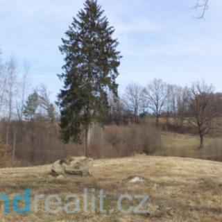 Prodej ostatního pozemku 2 337 m² Benešov nad Černou Děkanské Skaliny