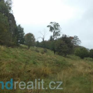 Prodej ostatního pozemku 11 994 m² Chřibská Dolní