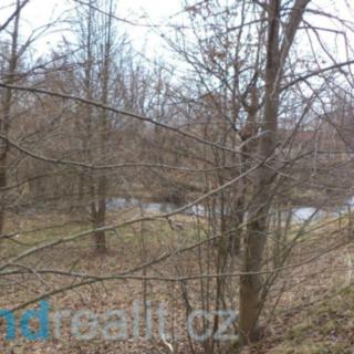 Prodej ostatních pozemků 111 m² Nová Ves nad Lužnicí