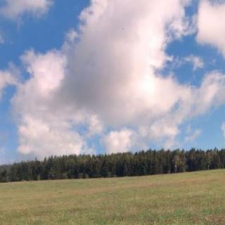 Prodej zemědělské půdy 60544 m² Heřmánkovice