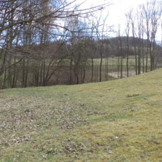 Prodej ostatního pozemku 4 633 m² Heřmanov Fojtovice