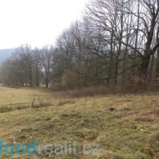 Prodej zemědělské půdy 5 161 m² Česká Kamenice Horní Kamenice
