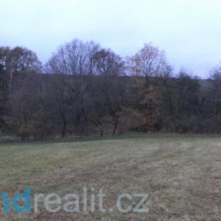 Prodej ostatního pozemku 9 316 m² Puclice Doubrava